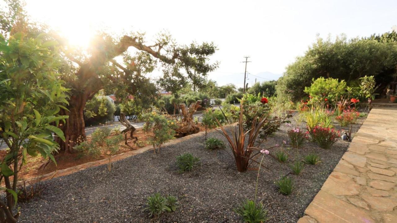 Comfortable Apartment With Garden - Casa Con Vista Havania Ngoại thất bức ảnh
