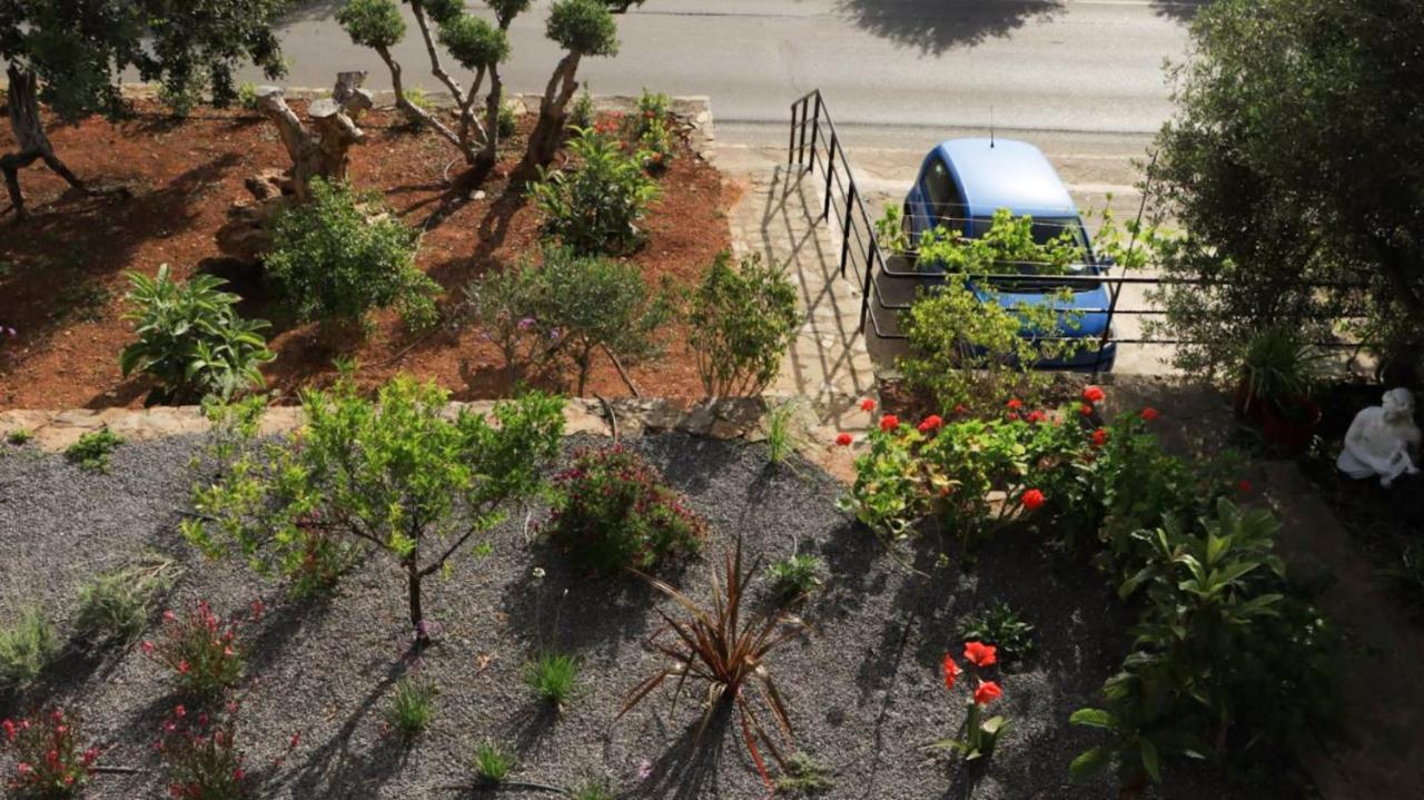 Comfortable Apartment With Garden - Casa Con Vista Havania Ngoại thất bức ảnh