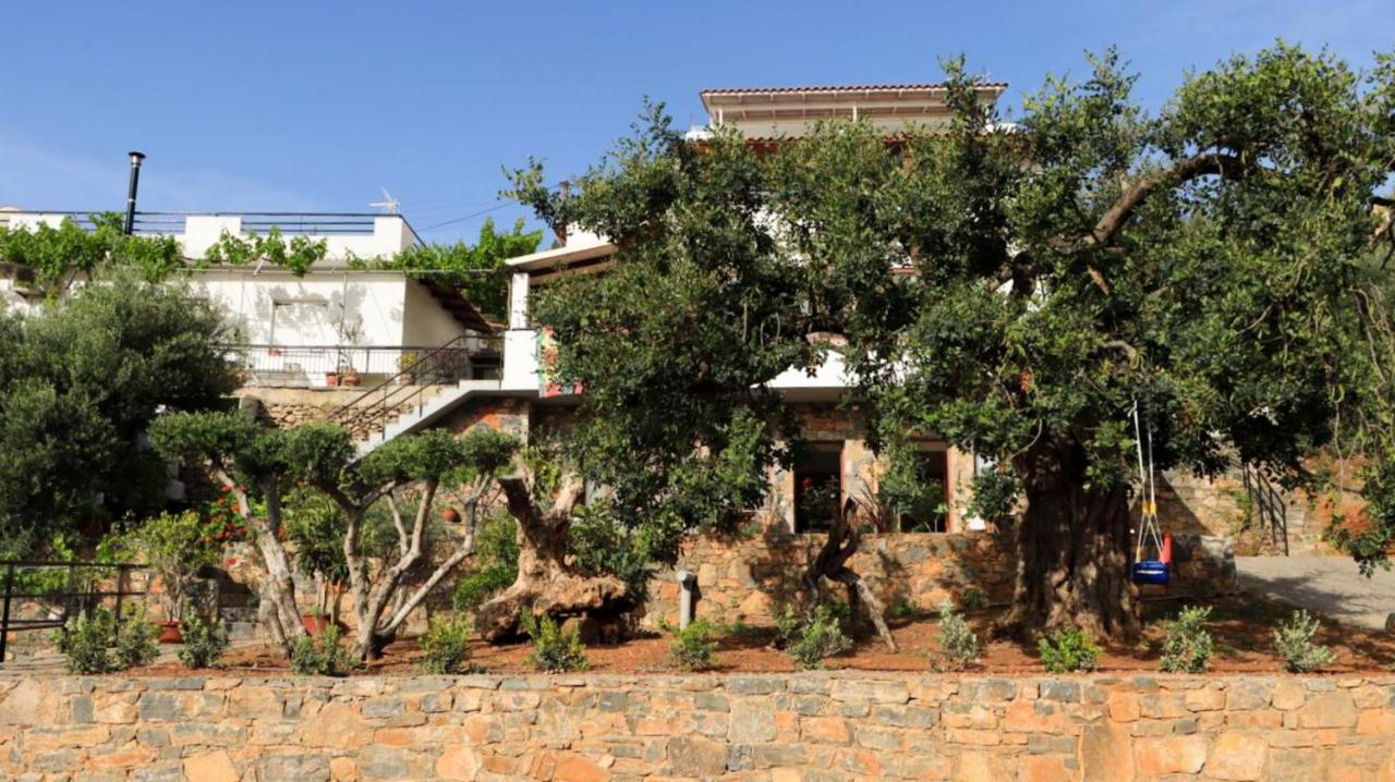 Comfortable Apartment With Garden - Casa Con Vista Havania Ngoại thất bức ảnh